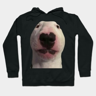 Staring Forward Dog Meme Hoodie